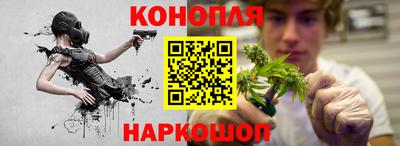 трава Славянск-на-Кубани